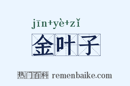 金叶子是什么意思的图片